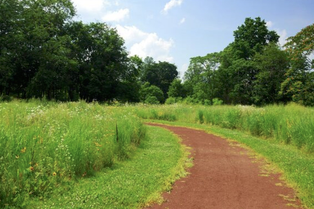 Pathways Walk